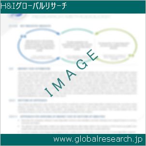 グローバルリサーチ調査レポートのイメージ